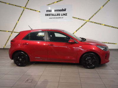 KIA Rio Gebrauchtwagen KIA Rio Gebrauchtwagen