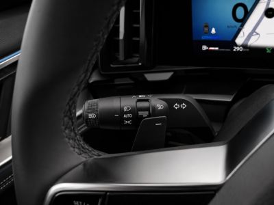Renault Austral Gebrauchtwagen
