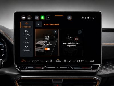 Cupra Formentor Gebrauchtwagen Cupra Formentor Gebrauchtwagen