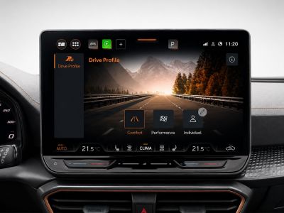 Cupra Formentor Gebrauchtwagen Cupra Formentor Gebrauchtwagen