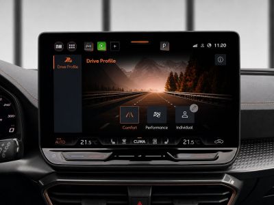 Cupra Formentor Gebrauchtwagen