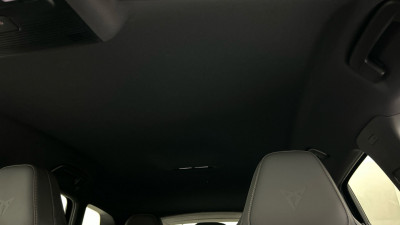 Cupra Terramar Gebrauchtwagen