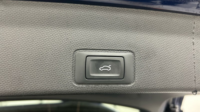 Cupra Terramar Gebrauchtwagen