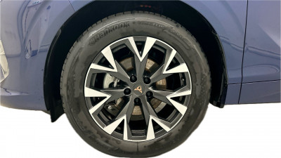 Cupra Terramar Gebrauchtwagen