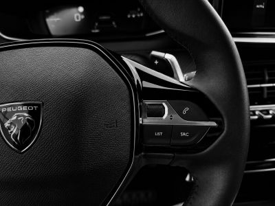 Peugeot 2008 Gebrauchtwagen