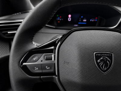 Peugeot 208 Gebrauchtwagen