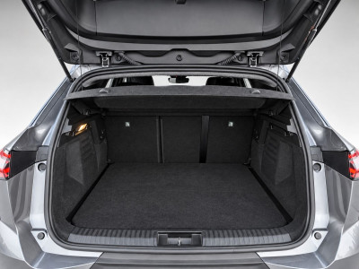 Renault Symbioz Gebrauchtwagen Renault Symbioz Gebrauchtwagen