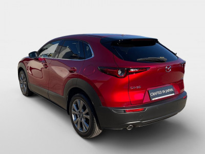 Mazda CX-30 Tageszulassung Mazda CX-30 Tageszulassung
