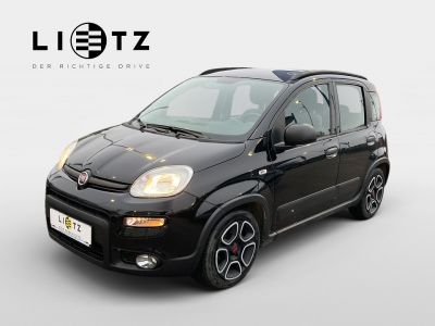 Fiat Panda Gebrauchtwagen