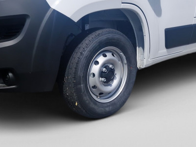 Fiat Ducato Gebrauchtwagen