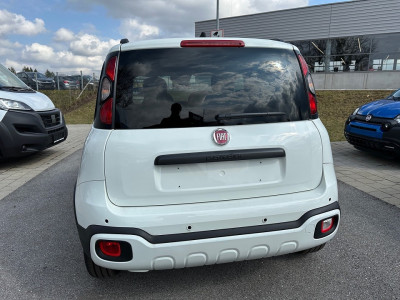 Fiat Panda Gebrauchtwagen Fiat Panda Gebrauchtwagen