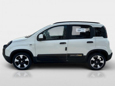 Fiat Panda Gebrauchtwagen Fiat Panda Gebrauchtwagen