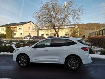 Ford Kuga Neuwagen