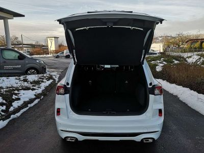 Ford Kuga Neuwagen