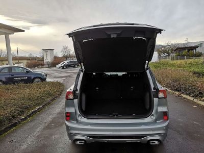 Ford Kuga Neuwagen