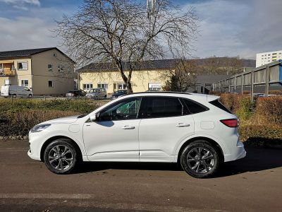 Ford Kuga Neuwagen