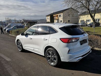 Ford Kuga Neuwagen