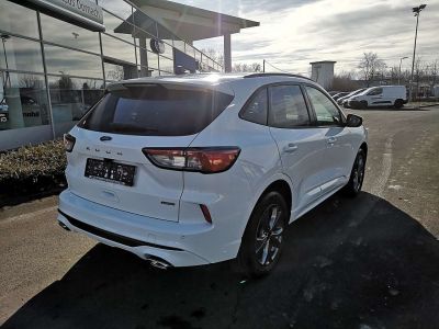 Ford Kuga Neuwagen