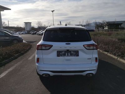 Ford Kuga Neuwagen