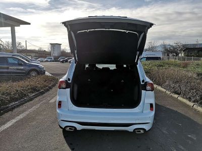 Ford Kuga Neuwagen