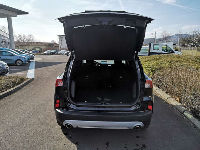 Ford Kuga Tageszulassung