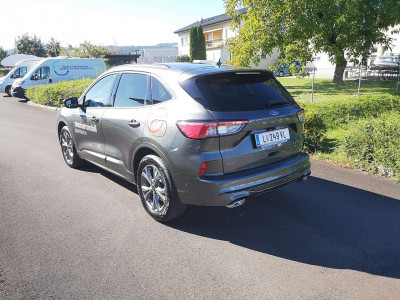 Ford Kuga Vorführwagen