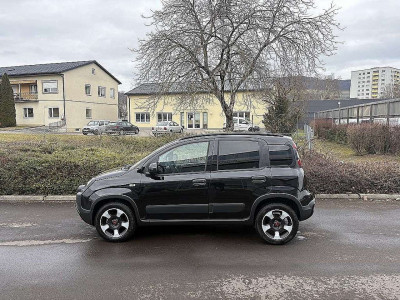 Fiat Panda Vorführwagen