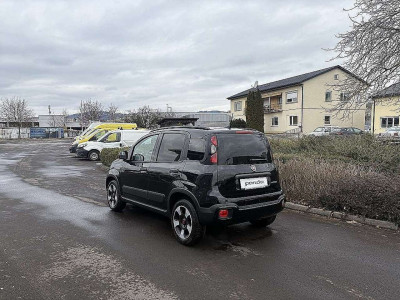 Fiat Panda Vorführwagen