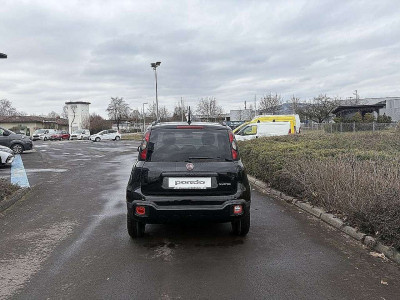 Fiat Panda Vorführwagen