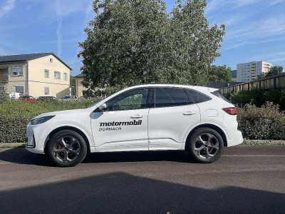 Ford Kuga Vorführwagen