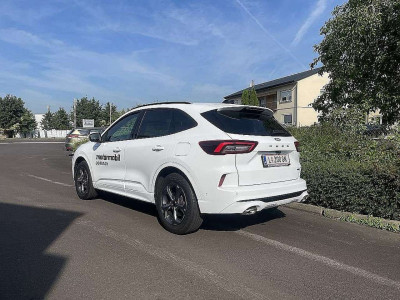 Ford Kuga Vorführwagen