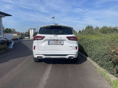 Ford Kuga Vorführwagen