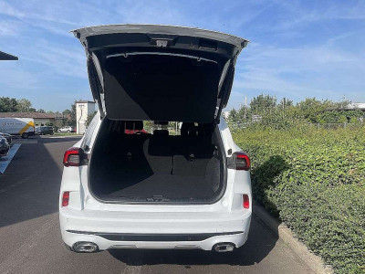 Ford Kuga Vorführwagen