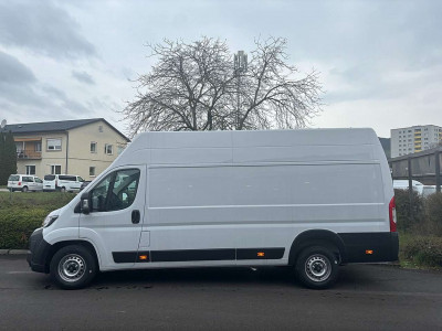 Fiat Ducato Neuwagen