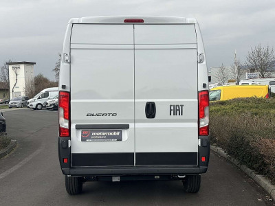 Fiat Ducato Neuwagen