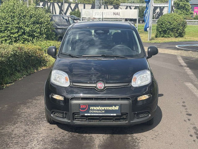 Fiat Panda Tageszulassung