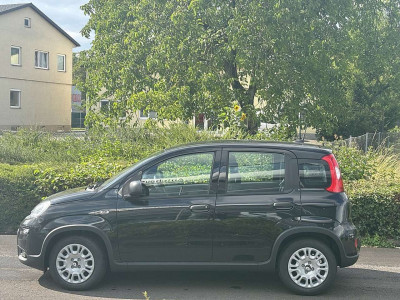 Fiat Panda Tageszulassung