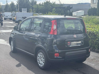 Fiat Panda Tageszulassung