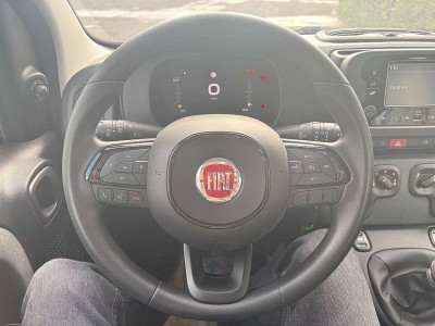Fiat Panda Tageszulassung