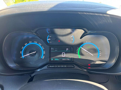 Fiat Doblo Vorführwagen