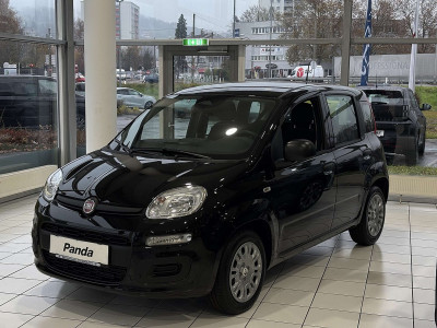 Fiat Panda Neuwagen
