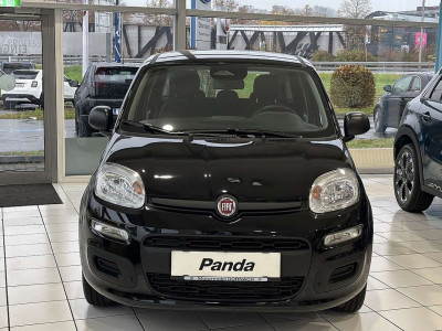 Fiat Panda Neuwagen