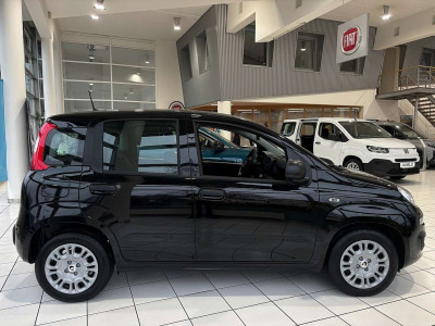 Fiat Panda Neuwagen
