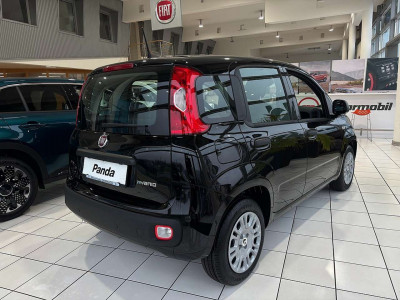Fiat Panda Neuwagen