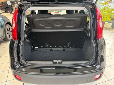Fiat Panda Neuwagen