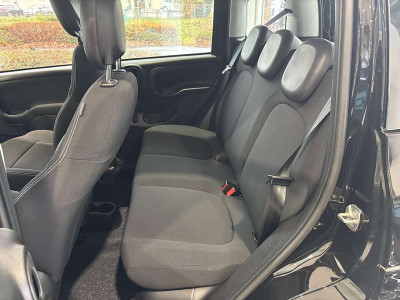 Fiat Panda Neuwagen