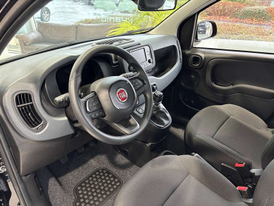 Fiat Panda Neuwagen