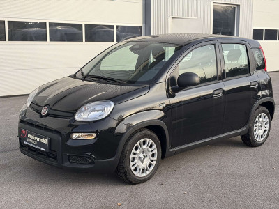 Fiat Panda Vorführwagen