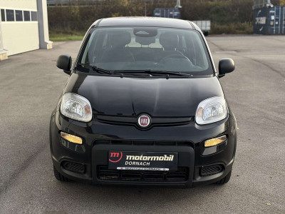 Fiat Panda Vorführwagen Fiat Panda Vorführwagen