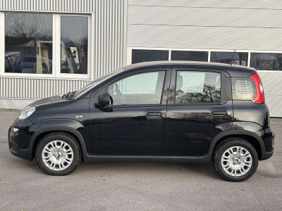 Fiat Panda Vorführwagen Fiat Panda Vorführwagen